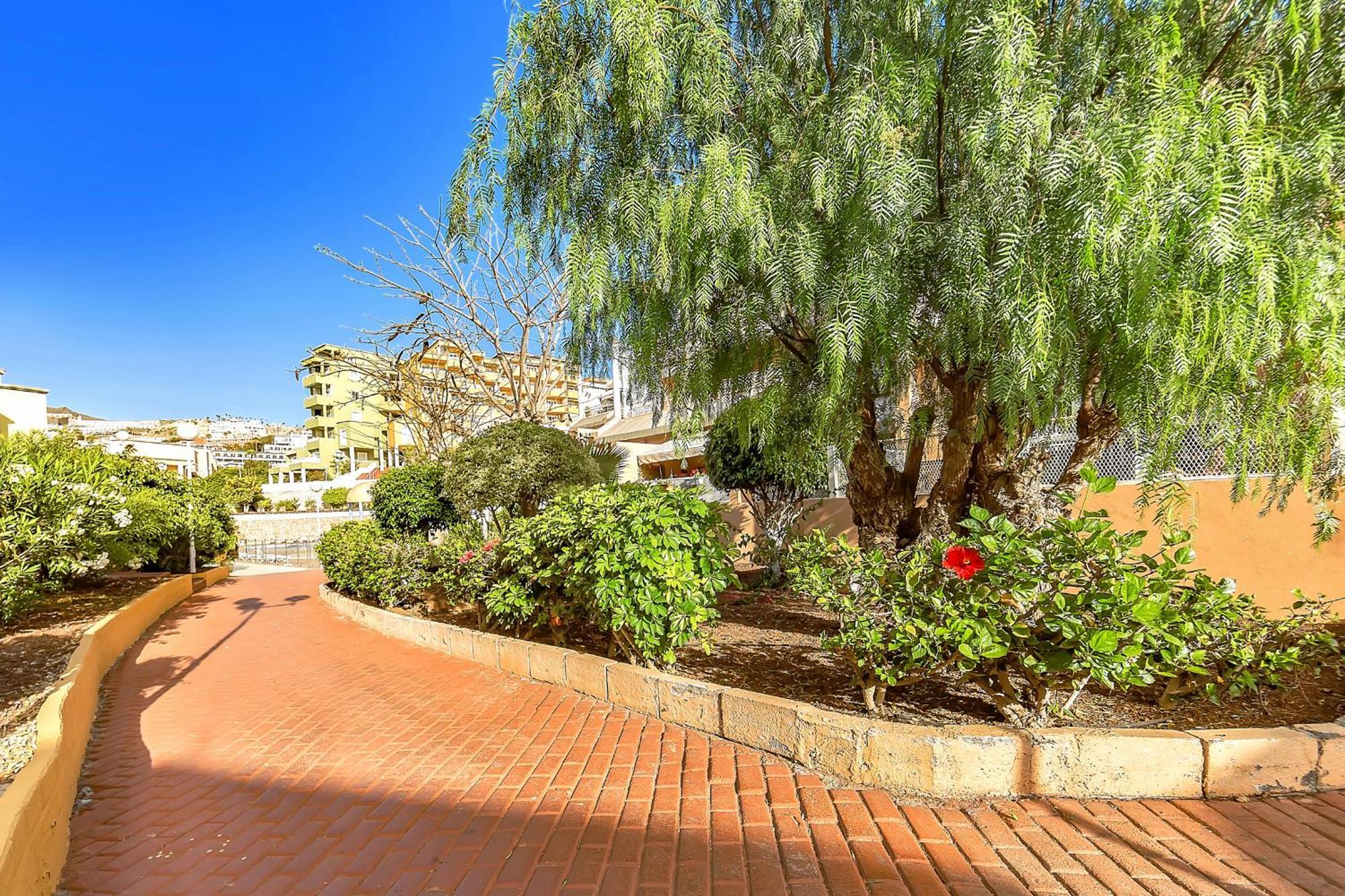 Apartment Tenerifeopenhome Ocean View Costa Adeje (Tenerife)